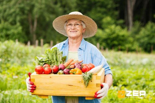La fermă, nimic nu se pierde! Ce faci cu fructele și legumele pe care nu le poți vinde?